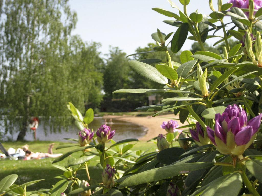 Vaexjoe Hostel Evedal מראה חיצוני תמונה